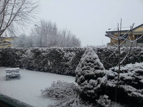 Neve a Padova accumuli