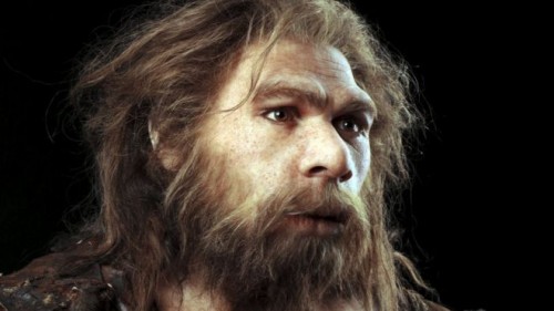 uomo di neandertha estinzione