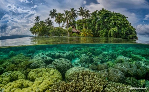 isole salomone cambiamenti climatici