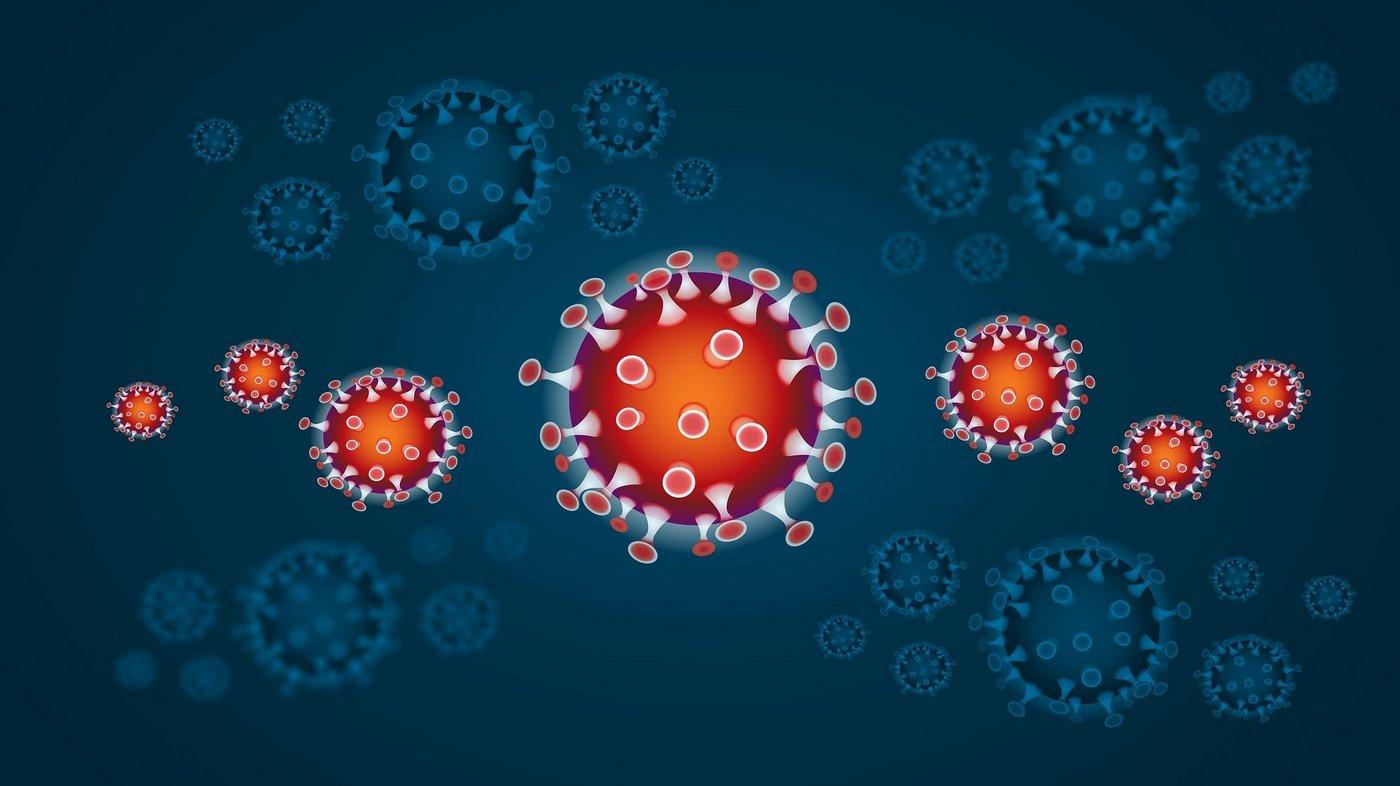 Cosa Accade Al Nostro Corpo Durante L Infezione Da Nuovo Coronavirus