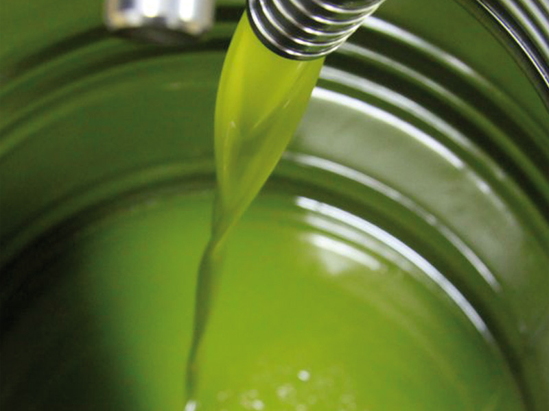 L'olio extravergine di oliva può prevenire il cancro al colon