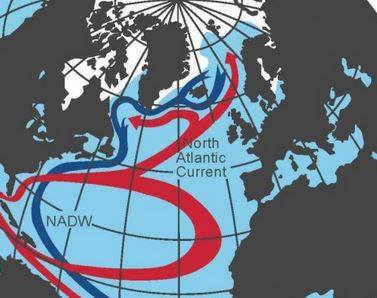 Interazione tra corrente Nord Atlantica e corrente del Golfo
