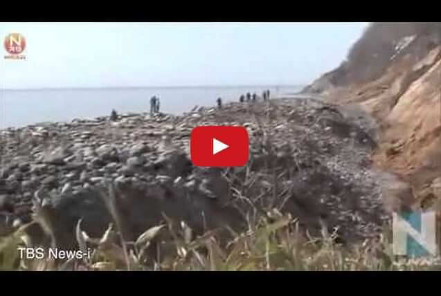 Mistero in Giappone; davanti all'isola di Hokkaido emerge una striscia di terreno lunga 300 metri - frame Youtube