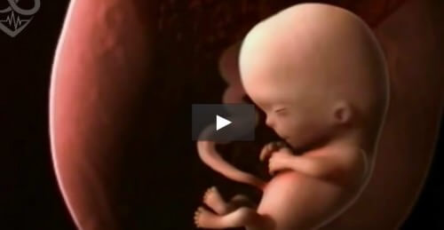 9 mesi di gravidanza riassunti in un video di 4 minuti: che meraviglia! - Fanpage
