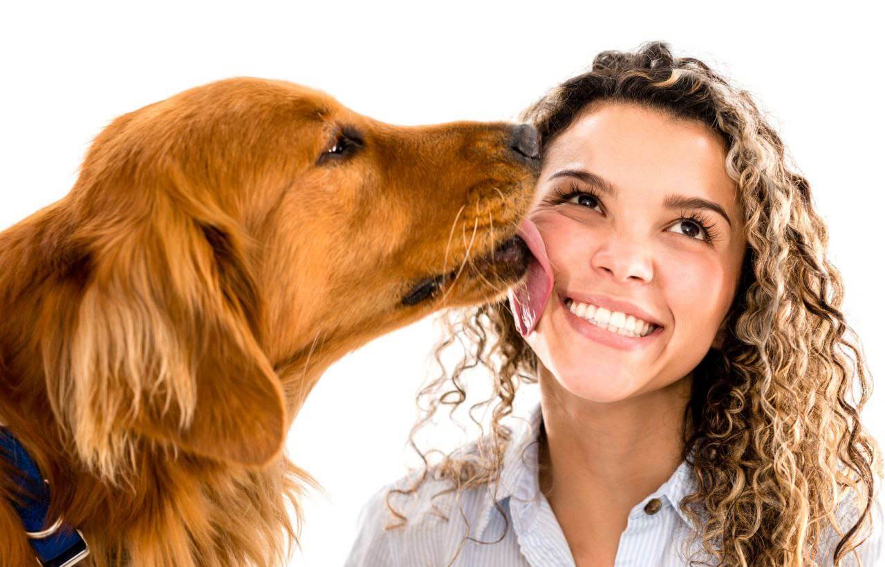 Il cane quando lecca il padrone trasferisce dei batteri benefici