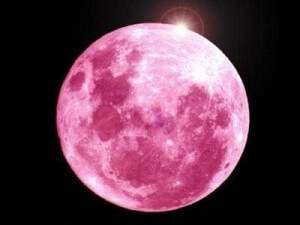 luna-rosa-diretta-streaming.jpeg