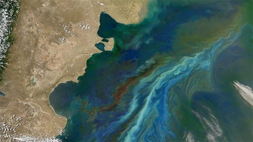 La formazione di plancton sull'Oceano Atlantico 
