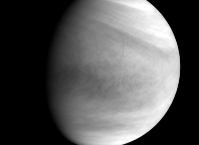 venus_aka-1.jpg