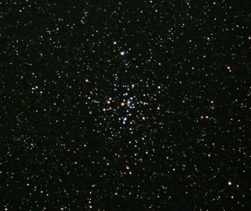 amasso stellare m41