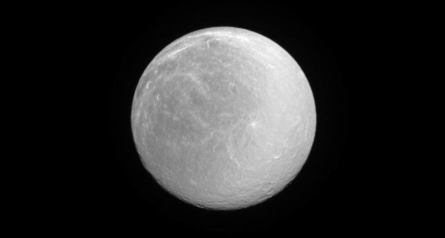 rea-luna-1.jpg