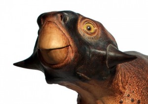 Psittacosaurus.jpg