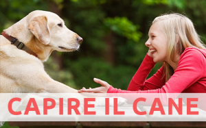 CAPIRE-CANE.png