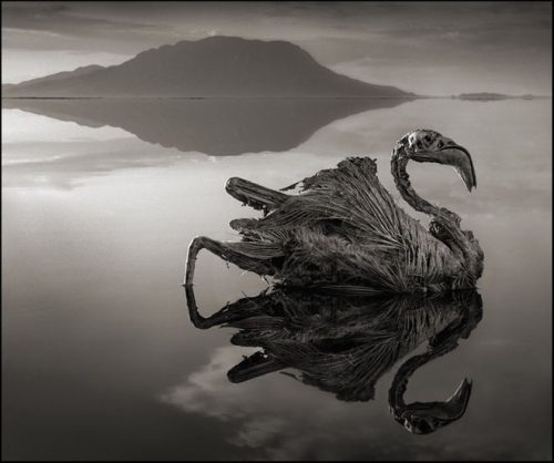 lago-natron-e1485451104555-1.jpg