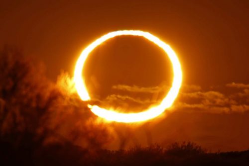 eclissi-solare-anulare