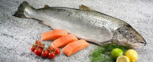 salmone-norvegese.jpg