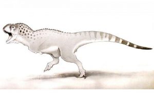 dinosauro-1.jpg