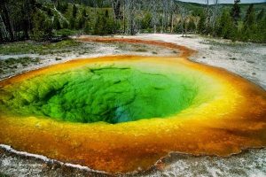 yellowstone.jpg