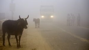 smog-new-delhi.jpg