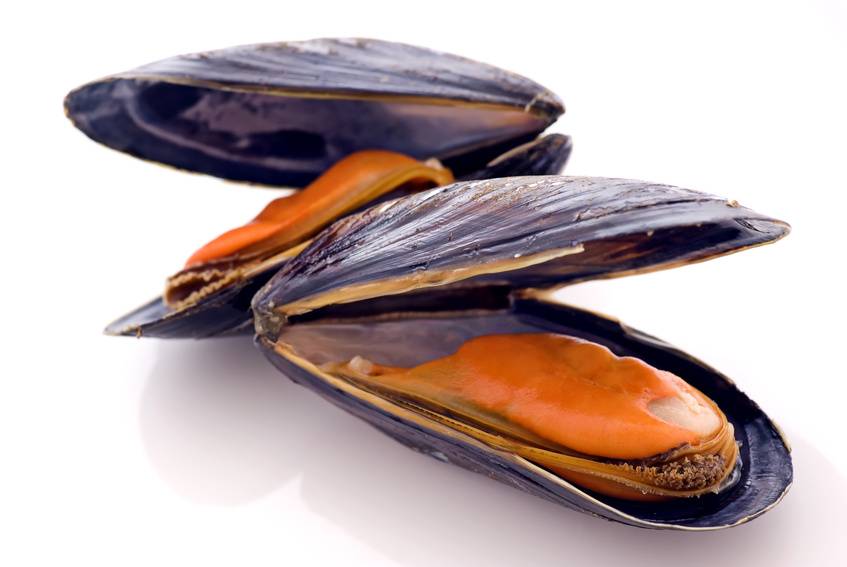 cozze-1.jpg