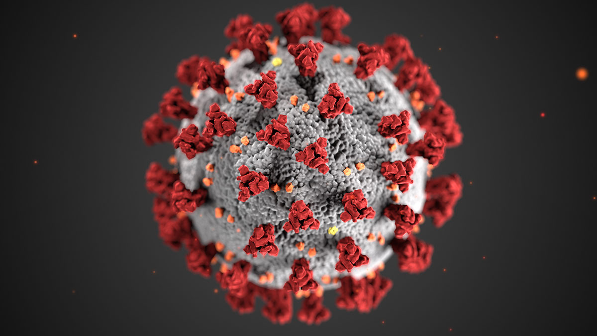 coronavirus-orecchie-1.jpg