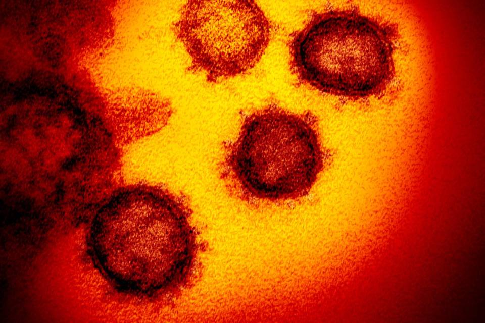 gruppo_sanguigno_coronavirus-1.jpg