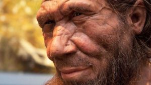 neanderthal-coronavirus.jpg