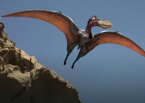 Australia: scoperta nuova specie di pterodattilo gigante