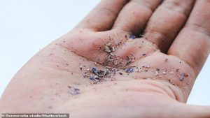 m_55744623-10647295-Microplastics_are_tiny_pieces_of_plastic_less_than_0_2_of_an_inc-a-20_1648120486470.jpg