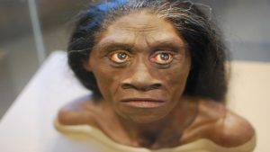 m_homo-floresiensis.jpg