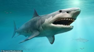 m_59428817-10945255-3D_rendering_of_what_the_megalodon_may_have_looked_like_The_spec-a-18_1655981716662.jpg