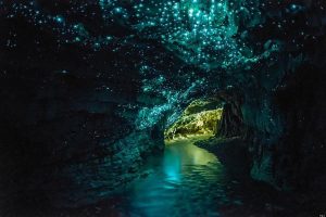 Waitomo-Caves-New-Zealand.jpg