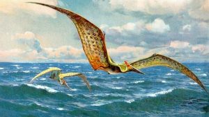 image_11325f-Pteranodon-1.jpg