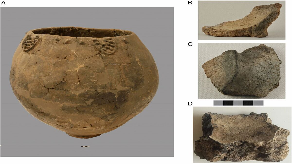 neolithic-georgian-pottery-wine-1-1.jpg