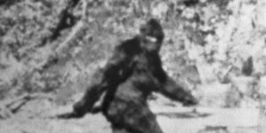 bigfoot.jpg