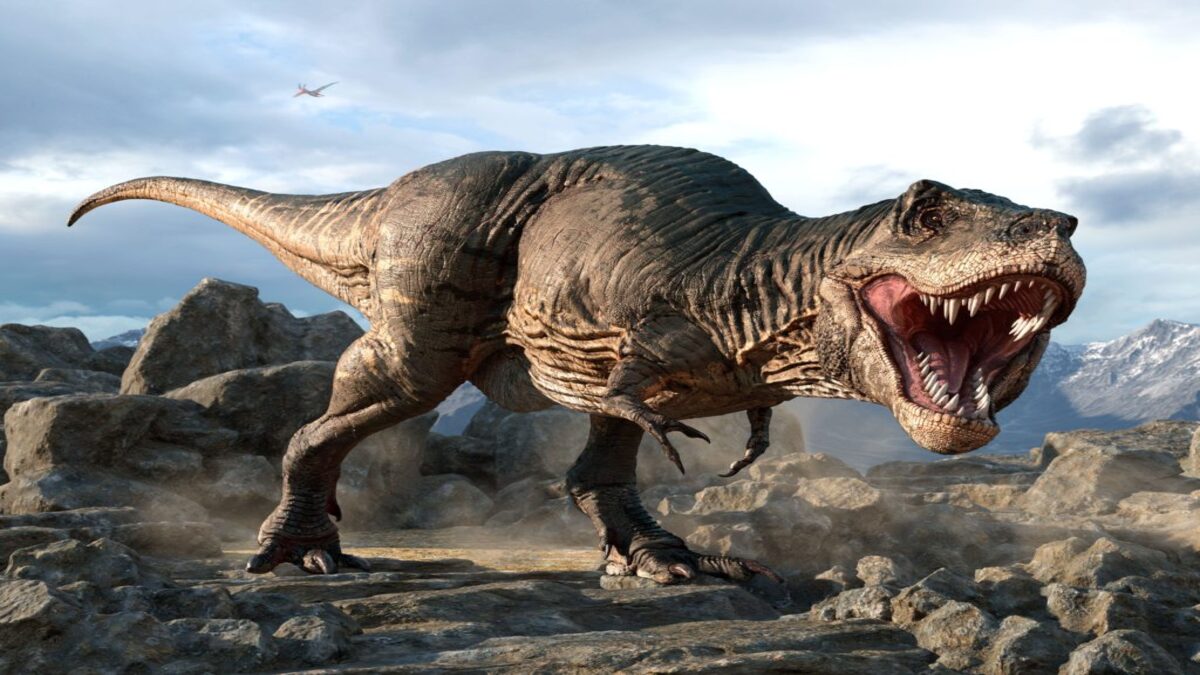 Quanti T-rex hanno vissuto sul nostro pianeta? La risposta ti sorprenderà