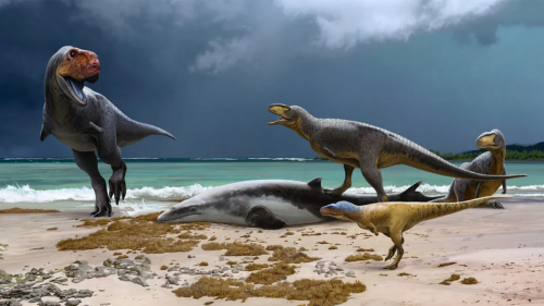 Nuovi fossili dimostrano che i cugini del T-Rex avevano braccia ancora più corte