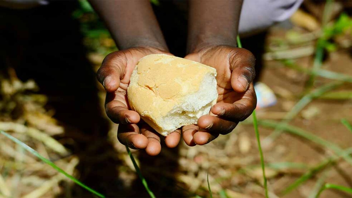 Aboriginals-bread-1-1.jpg