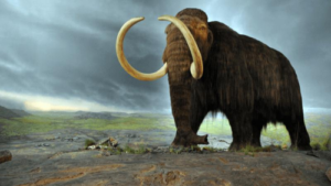 bring-back-woolly-mammoth-m.png