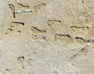 impronte umane nel sito di studio nel Parco Nazionale di White Sands, Nuovo Messico.