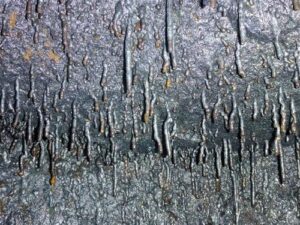 lava-stalactites-m.jpg