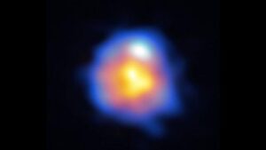 leporis-m.jpg