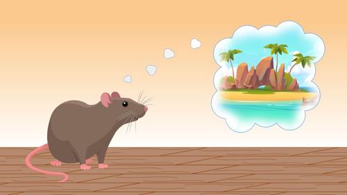 rat-imagination-m-3.jpg