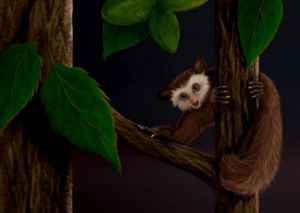 so-cute-primate-m.png