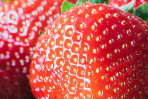 strawberries-m.png