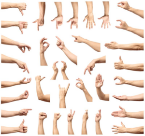 disembodied-photographed-human-hands-and-forearms-performing-various-gestures-on-a-white-background-m.png