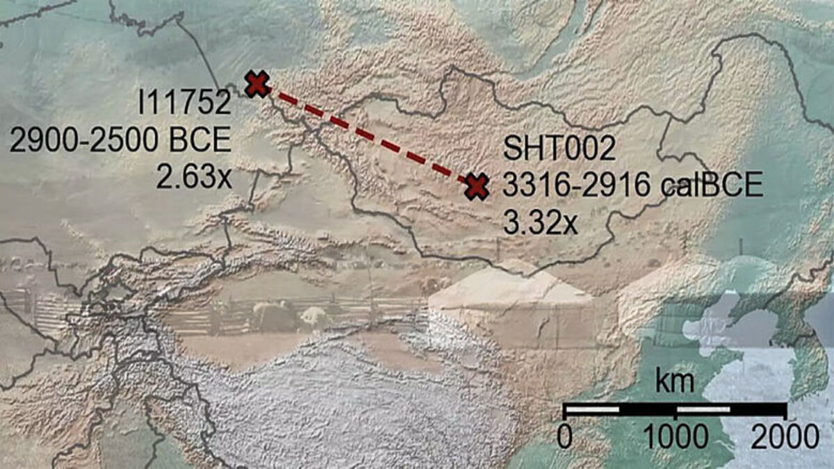 prehistoric-and-historical-individuals-min-1-1.jpeg