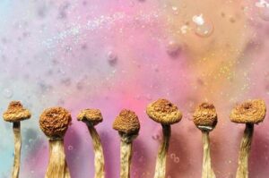 Funghi di psilocibina su sfondo rosa glitterato