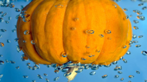 pumpkin-m.png