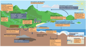 Un diagramma del ciclo antropogenico del sale sulla Terra.