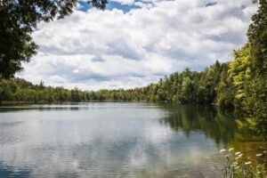 Una foto panoramica del Lago Crawford in Canada, che mostra la superficie dell'acqua e la linea degli alberi circostanti. Le nuvole si riflettono sull'acqua.